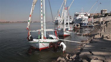 Egyptians Washing Horses At Dock, River Nile, Luxor, Egypt