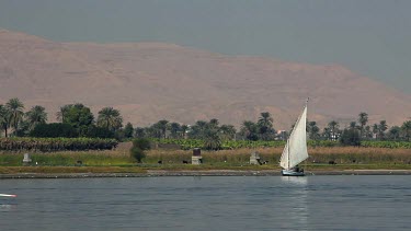 Rowing & Sailing A Felluca, River Nile, Luxor, Egypt