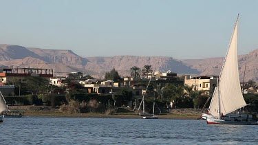 Feluccas In Full Sail, River Nile, Luxor, Egypt