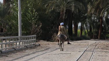 Back View Of Old Man On Donkey, River Nile, Luxor, Egypt