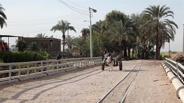 People On White Donkey & Cart, Near, Luxor, Egypt