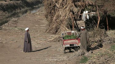 Men Loading Grass, Near, Luxor, Egypt