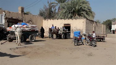 Egyptians With Donkey & Cart, Luxor, Egypt