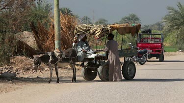 2 Egyptians With Donkey & Cart, Luxor, Egypt