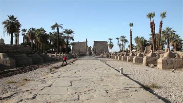 The Avenue Of Sphinxes & First Pylon, Luxor Temple , Egypt, North Africa