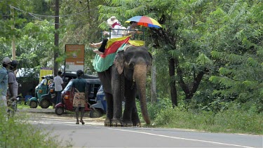 Elephant Ride & Tuc Tuc, Sigiriya, Sri Lanka