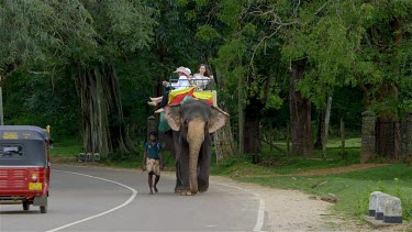 Elephant Ride & Red Tuc Tuc, Sigiriya, Sri Lanka