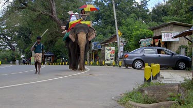Elephant Ride, Sigiriya, Sri Lanka