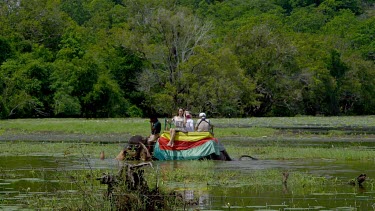 Elephant Ride In Lake, Sigiriya, Sri Lanka