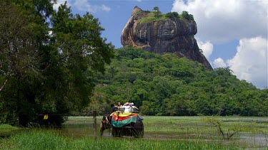 Lion Rock & Elephant Ride In Lake, Sigiriya, Sri Lanka