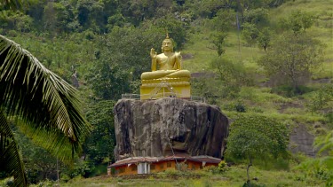 Palm Tree & Large Buddha, Matale, Sri Lanka