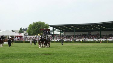 Heavy Shire Horse Teams Parade Around Main Show Ring, The Great Yorkshire Show, North Yorkshire