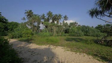 Woman Walks On Sand Path, Bentota, Sri Lanka