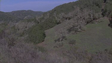 green countryside rolling hills