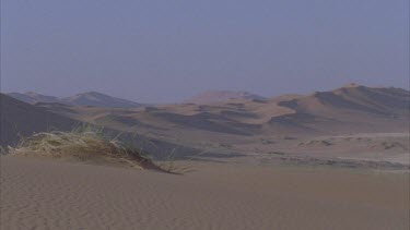 grassy outcrop on sand dunes sand dunes in distance