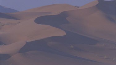 ridge of sand dune