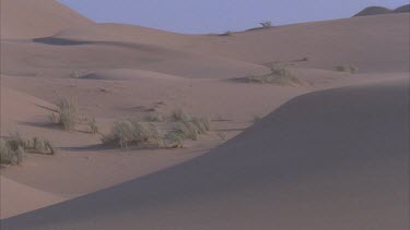 sand blowing across sand dunes