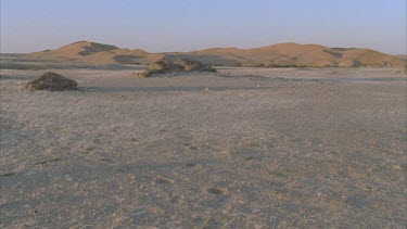 sand dunes in distance wind blowing grass in foreground