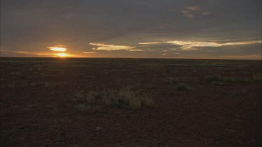 sunrise over gibber plain with tussock grass, low level cloud