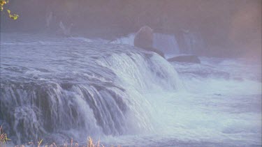 bear at edge of waterfall, misty