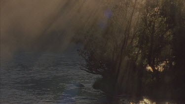 shafts of sunlight through trees on banks of river. Early morning mist rises off the water.