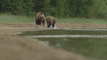two young adults walking towards camera. One shakes water from it's coat