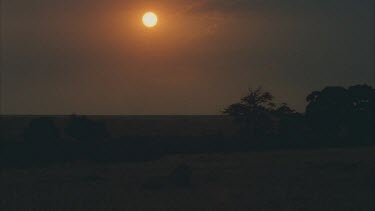 sunset over dark silhouetted grassland. Sky pink and yellow. Sun is perfect ball.