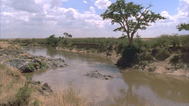 est. shot Mara river with steep sided river banks. A pod of hippo wallow in the middle of the river.