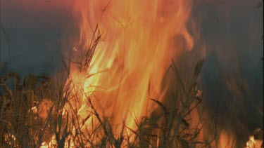 fire rages in long grass, foreground against pink sky at sunset