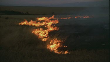 fire burning in a line across the landscape