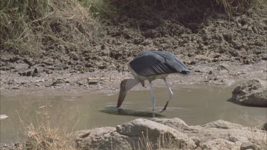 fishing in muddy waterhole