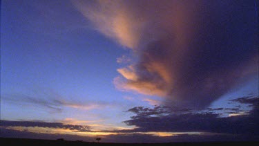 dramatic sunset with pink clouds and lone acacia tree on horizon