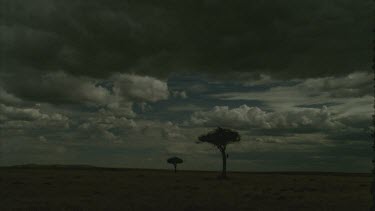 scenic of plains, two trees at different distances, storm clouds