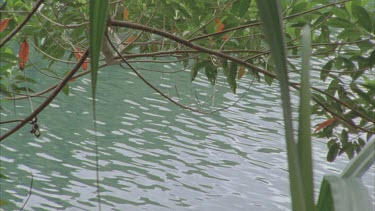 water rippling, flowing