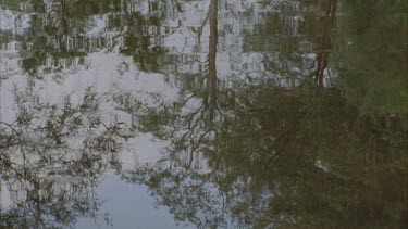 trees reflected in rippled surface of water, Lake Eacham