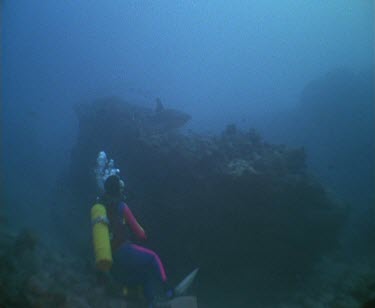 Sharks swim past diver and disappears into light towards a shoal of fish