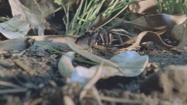 male runs through frame