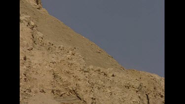 Two males with large curved horns, looking out at desert. Pan across rocky desert habitat.