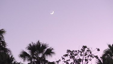 Crescent moon at dusk