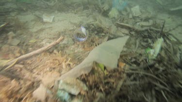 Rubbish on the seabed