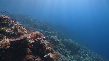 Fisherman swimming to an underwater fish trap on a reef