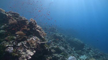 Fisherman swimming to an underwater fish trap on a reef