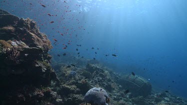 Fisherman swimming to an underwater fish trap on a reef