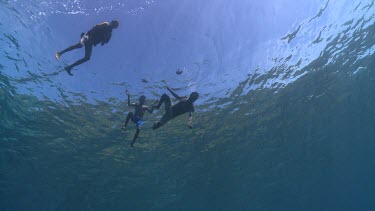 Fishermen spearfishing underwater