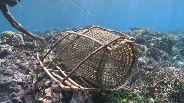 Close up of a fisherman checking a fish trap underwater