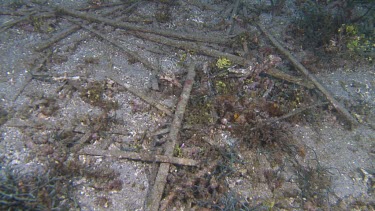 Rubble on the seabed