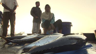 Row of caught Tuna fish