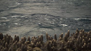 Close up of ocean current by the shore