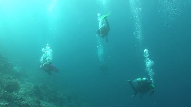 Three scuba divers swimming near a reef