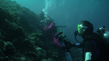 Pair of scuba divers on a coral reef